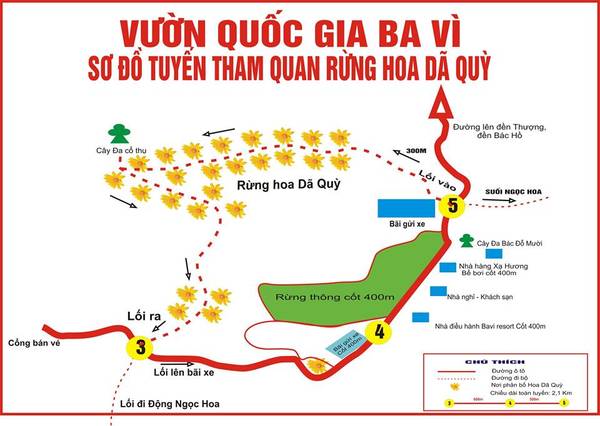 Sơ đồ ngắm hoa dã quỳ ở Vườn Quốc gia Ba Vì