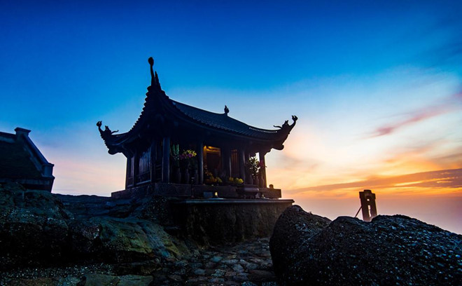 Sống Lưng Khủng Long mùa đông lau trắng Sống Lưng Khủng Long mùa đông lau trắng