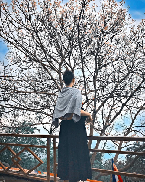 song-lung-khung-long-va-cac-noi-dung-vao-la-co-anh-dep-o-quang-ninh-ivivu-1