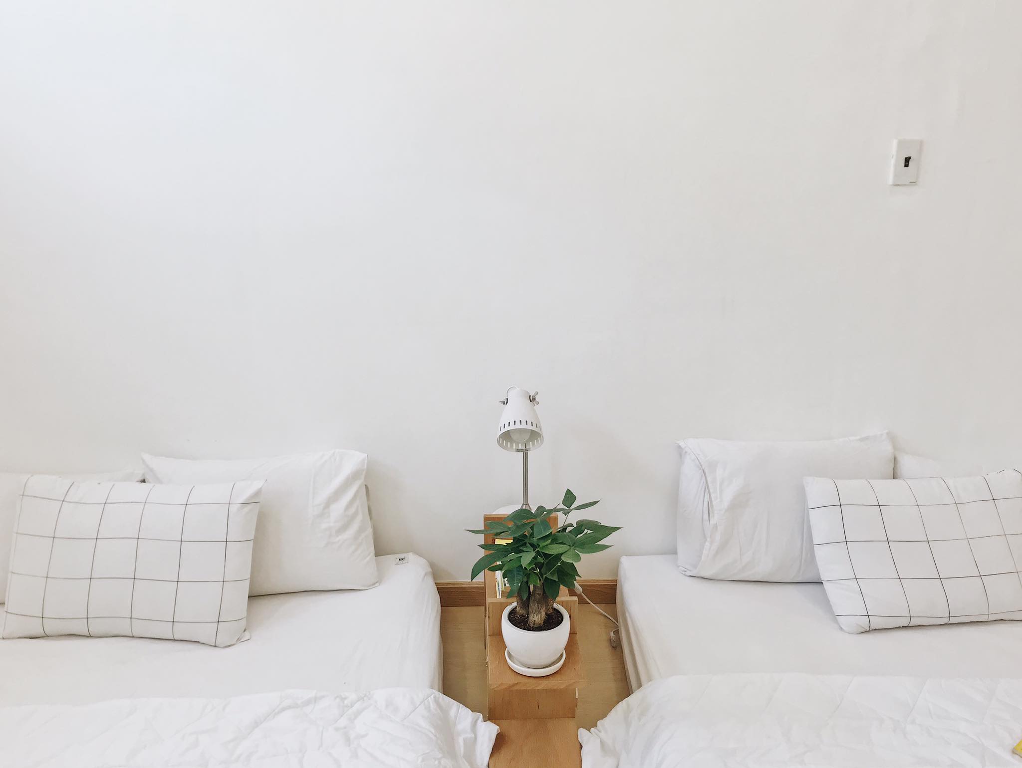 Không gian xanh homestay Sài Gòn Stay & Chill