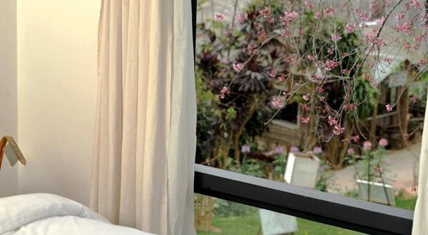 Ngắm hoa thỏa thích từ cửa sổ phòng nghỉ tại Stop And Go Hotel Đà Lạt.