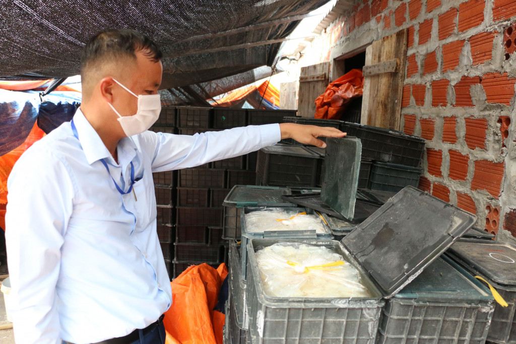 Sứa biển Cô Tô đóng thùng xuất khẩu