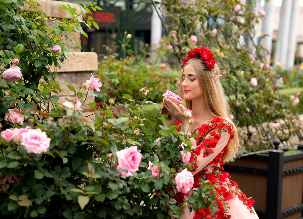 Vẻ đẹp lãng mạn của Rosa Garden tại Sun World Bà Nà Hills