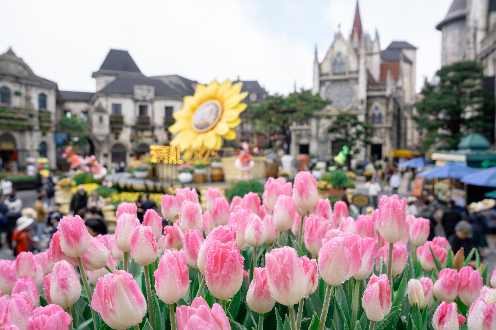 Khai hội xuân Bính Ngọ 2026 tại Sun World Bà Nà Hills