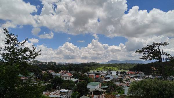 Đồi thông xanh mát nhìn từ Sunshine Tím Đà Lạt