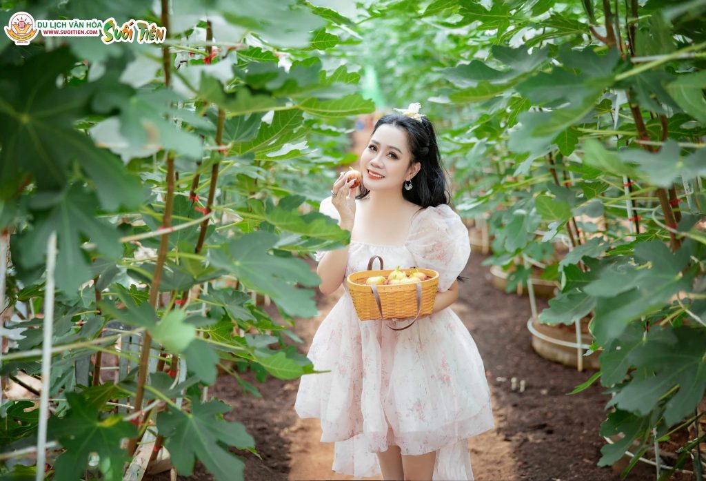 Suối Tiên Farm với nhiều loại trái cây độc đáo