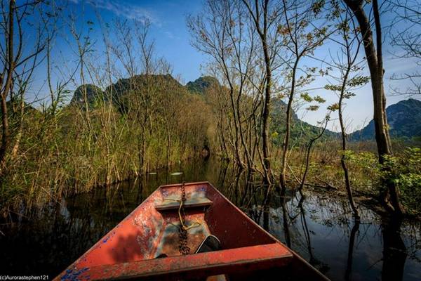 Đặc biệt, tháng 9-11 được ví là mùa nước nở hoa, khi hoa súng nở rộ dọc hai bên suối. Vẻ đẹp của loài hoa dân dã mà thanh nhã đó hòa quyện thật trọn vẹn với khung cảnh thiên nhiên nơi này. Sắc hồng tím phủ rợp khiến dòng Yến Vĩ đẹp bình dị nhưng cuốn hút, thu trọn ánh nhìn của bất cứ ai.