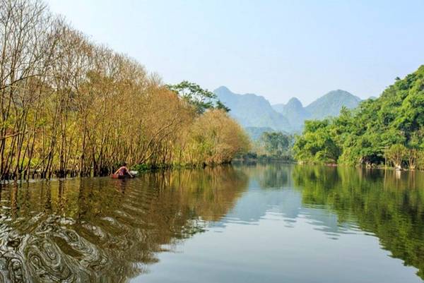 Bình minh ló dạng, hoa súng rực rỡ đón chào ban mai. Hoa súng vươn khỏi mặt nước chừng 10-20 cm, lá súng còn non có màu nâu đỏ rồi dần chuyển sang sắc xanh bóng mượt, bồng bềnh trên mặt nước. Đến trưa chiều, hoa thu mình nghỉ ngơi, đợi chờ ánh dương ngày mới.