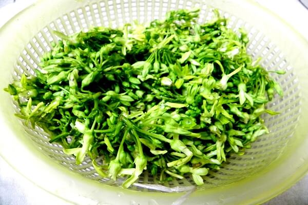 suon-non-chay-xao-thien-ly-ivivu-1 suon-non-chay-xao-thien-ly-ivivu-1