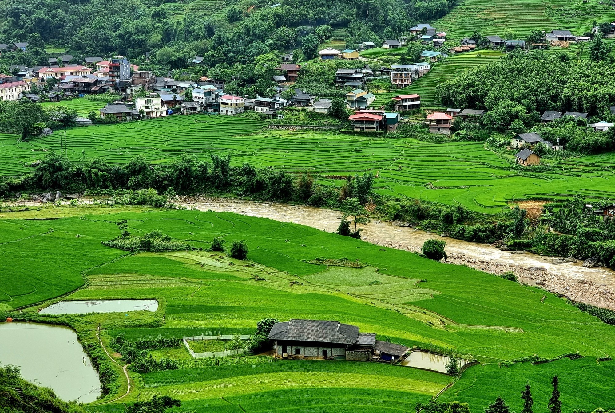 Suối Mường Hoa chảy quanh ruộng bậc thang Tả Van Sapa