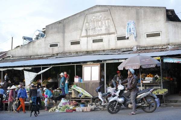 Tan-huong-thien-nhien-trong-lanh-noi-doi-che-Da-Lat-ivivu-9