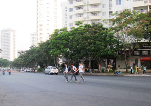 Học sinh người Hàn Quốc qua đường đón xe buýt để đến trường.