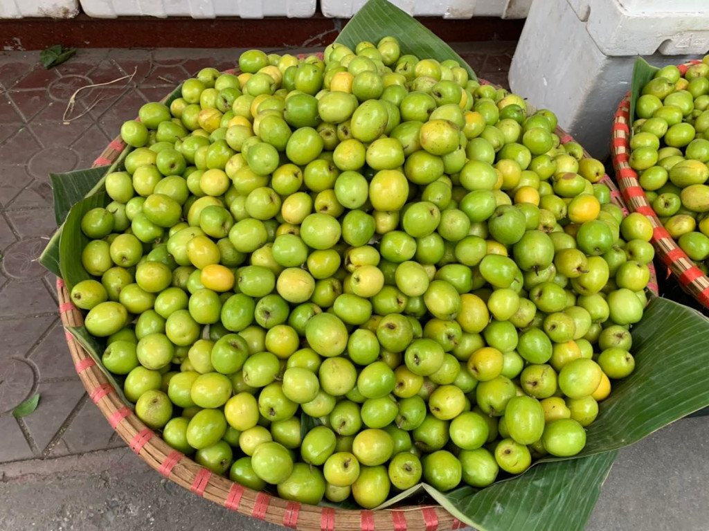 Táo muối Bàng La chín vào vụ Tết