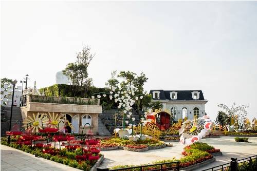 Hoa nở rộ trong lễ hội tại Le Jardin D’amour Bà Nà