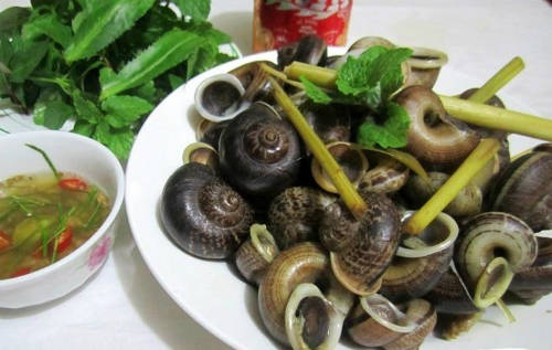 Ốc xu núi Bà món ngon không thể bỏ qua khi đến Tây Ninh.
