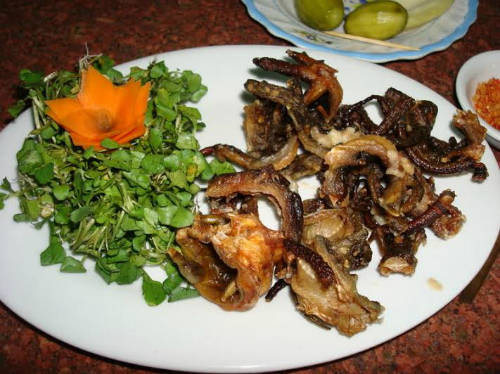 Dân địa phương thường chế biến rất nhiều món ngon từ thằn lằn núi.