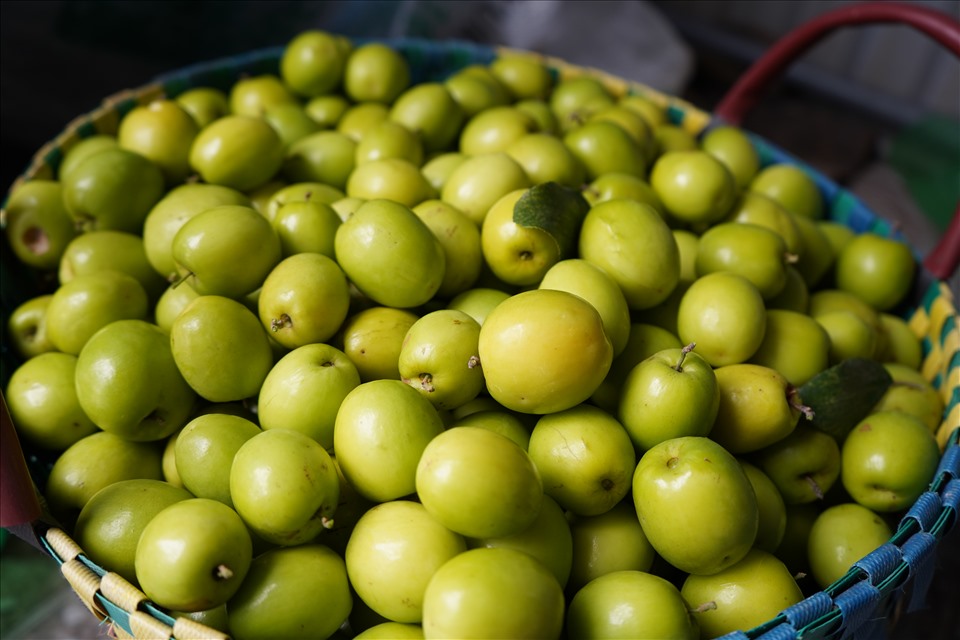 Táo muối Bàng La trở thành thương hiệu đặc sản Hải Phòng