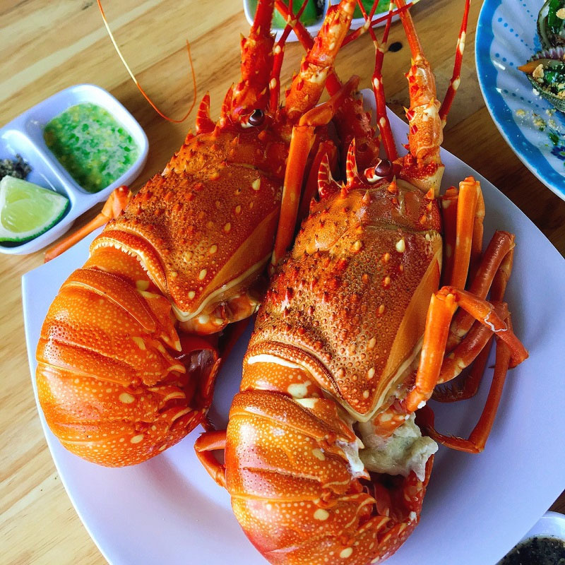 Tôm hùm hấp muối
