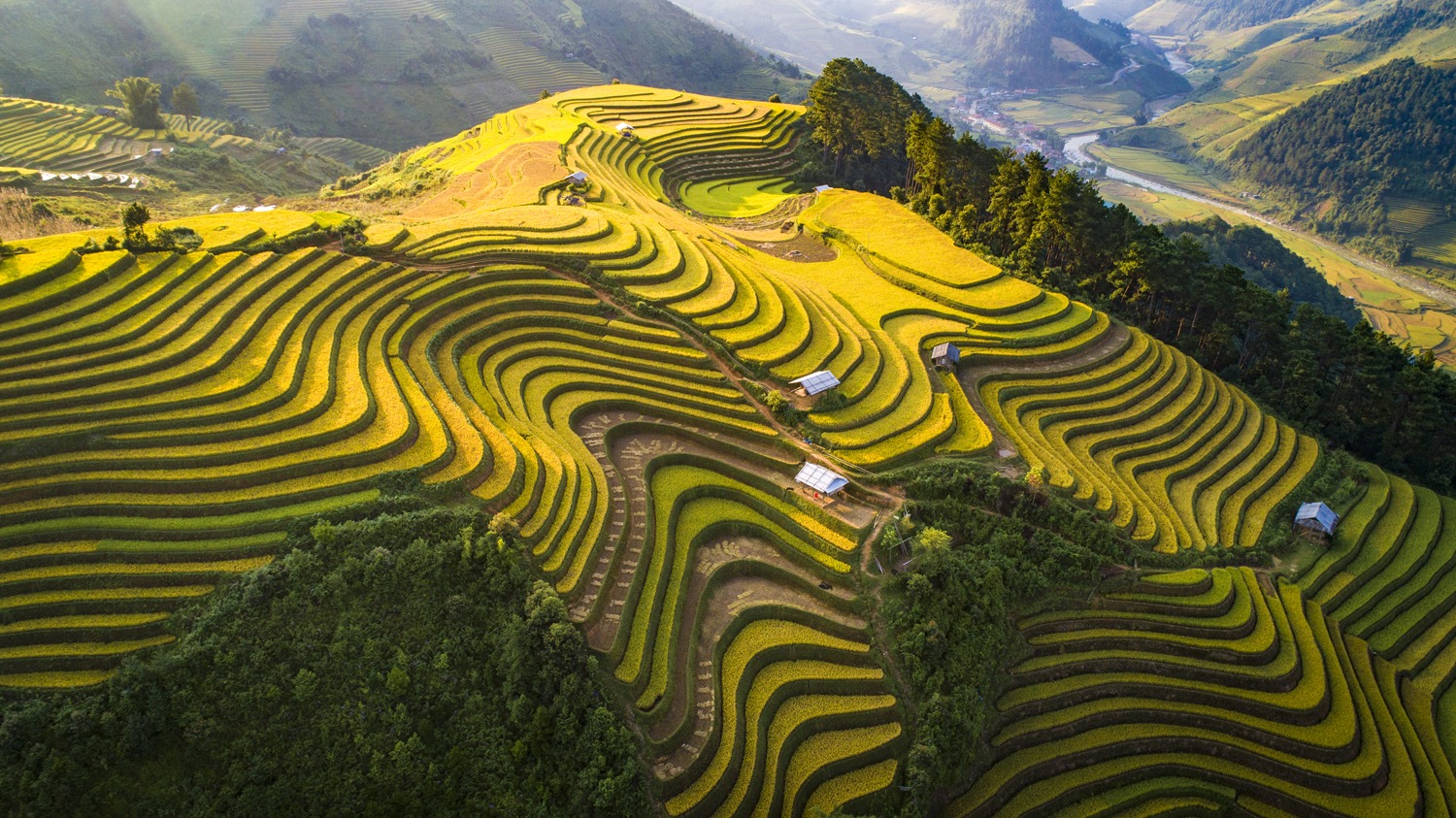 Ảnh: Nguyễn Đức Tuệ