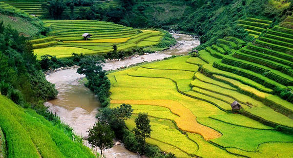 Thung lũng Mường Hoa - thung lũng đẹp Việt Nam Thung lũng Mường Hoa - thung lũng đẹp Việt Nam