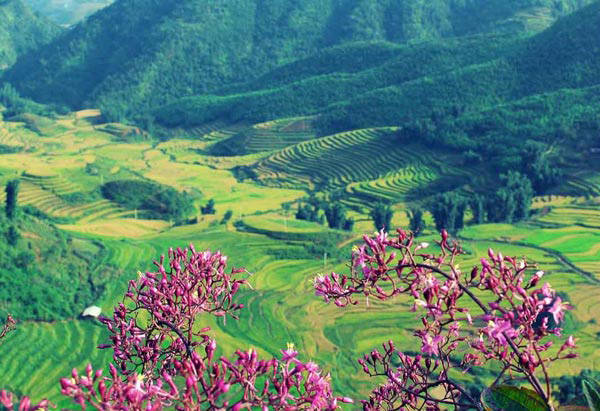 Thung lũng Mường Thanh - thung lũng đẹp Việt Nam Thung lũng Mường Thanh - thung lũng đẹp Việt Nam