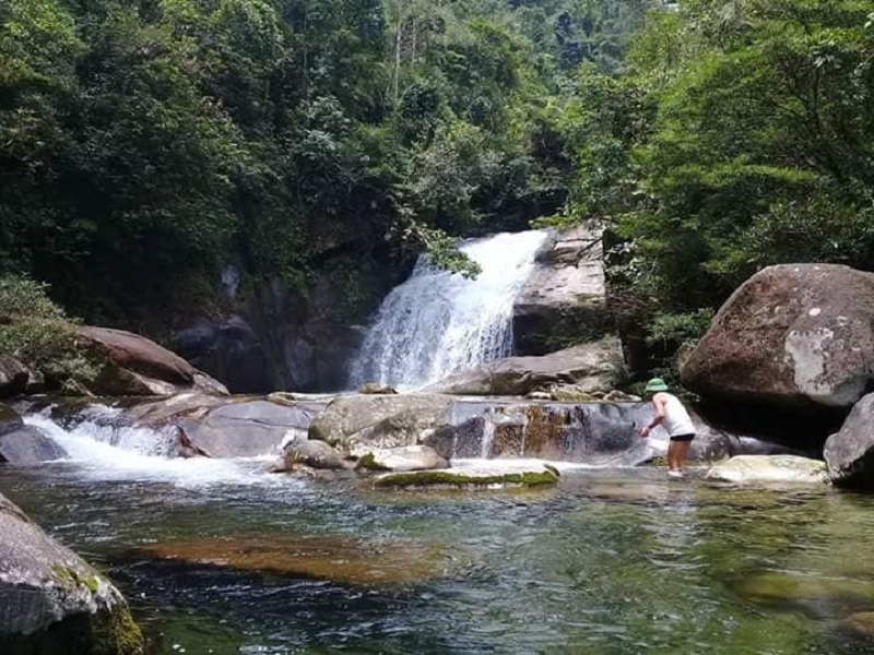 Vẻ đẹp rừng xanh. Ảnh: Huyện Hải Hà.