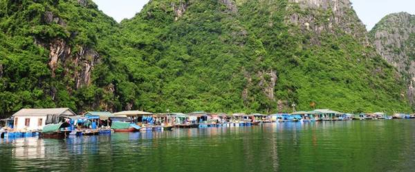Tham-lang-chai-dep-nhat-the-gioi-o-vinh-Ha-Long-2-ivivu