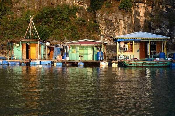 Tham-lang-chai-dep-nhat-the-gioi-o-vinh-Ha-Long-7-ivivu