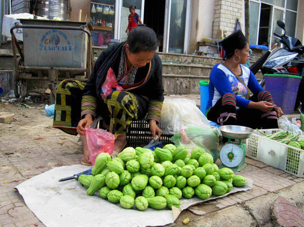 Những sơn nữ bản địa ngày ngày gùi su su quả xuống bán tại chợ phiên