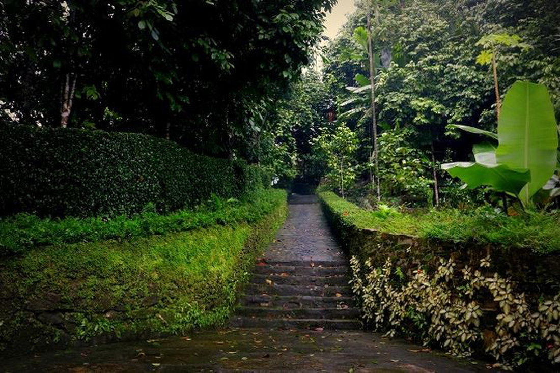 Đường làng đẹp...