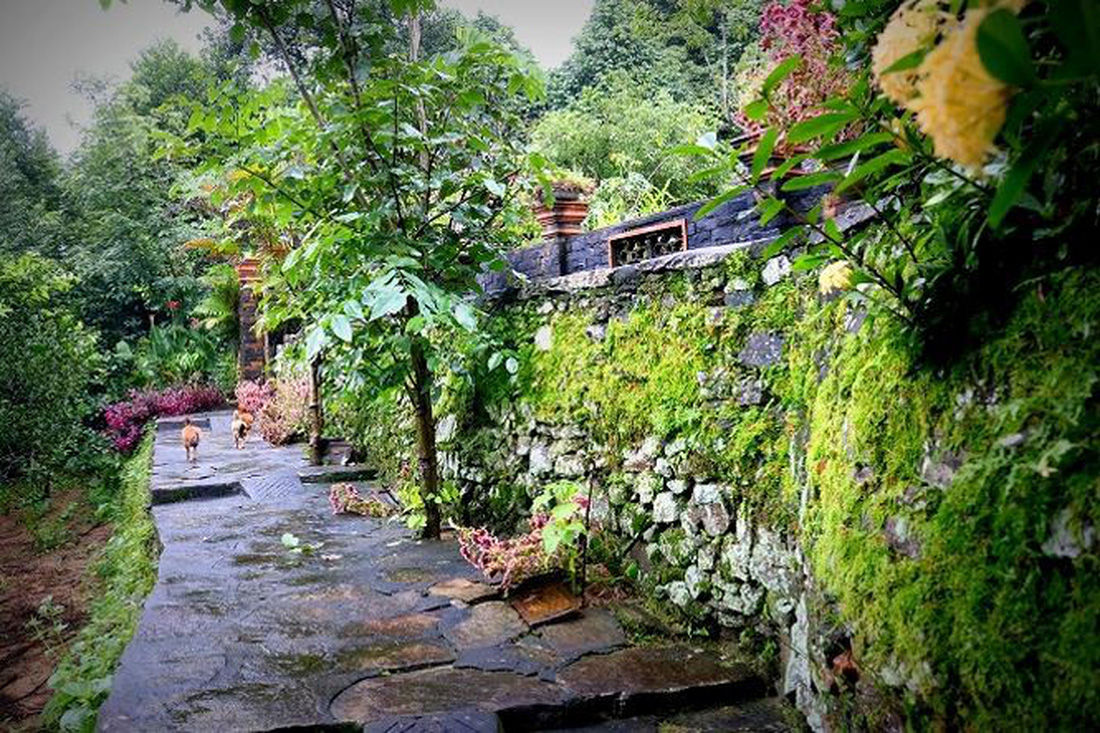 ... như cổ tích. Ảnh: Mỹ Tiên