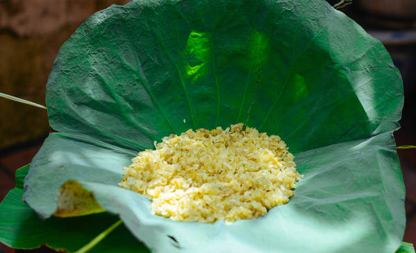 Hoa cúc vàng đặc trưng của mùa thu Hà Nội
