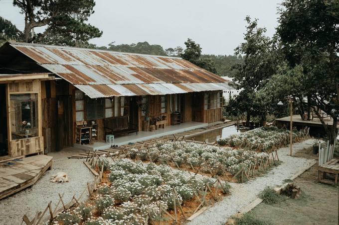 Nằm bên trong một homestay kiểu nhà xưa lợp mái tôn cũ kỹ, tiệm cà phê Túi mơ to níu chân người thích hoài niệm mỗi khi ghé Đà Lạt.Tiệm ở hẻm 31 Sào Nam (gần khu dã chiến đường đi Trại Mát), cách trung tâm Đà Lạt tầm 6km