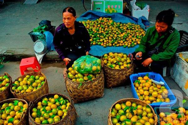 Quýt Bắc Sơn - đặc sản tháng 11 Lạng Sơn