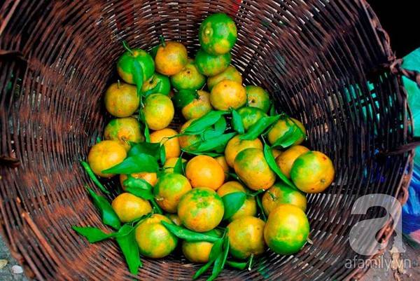 thang-11-va-nhung-dac-san-nhac-den-la-muon-an-ngay-tuc-thi-ivivu-6