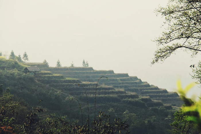 Ngoài kia là mù hay nắng ở Sapa