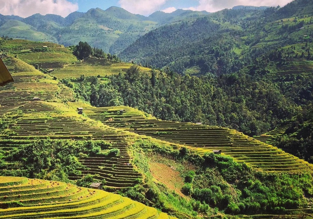 Mù Cang Chải (Yên Bái) mùa lúa chín: Ruộng bậc thang nhuộm vàng đẹp nhất nửa sau tháng 9
