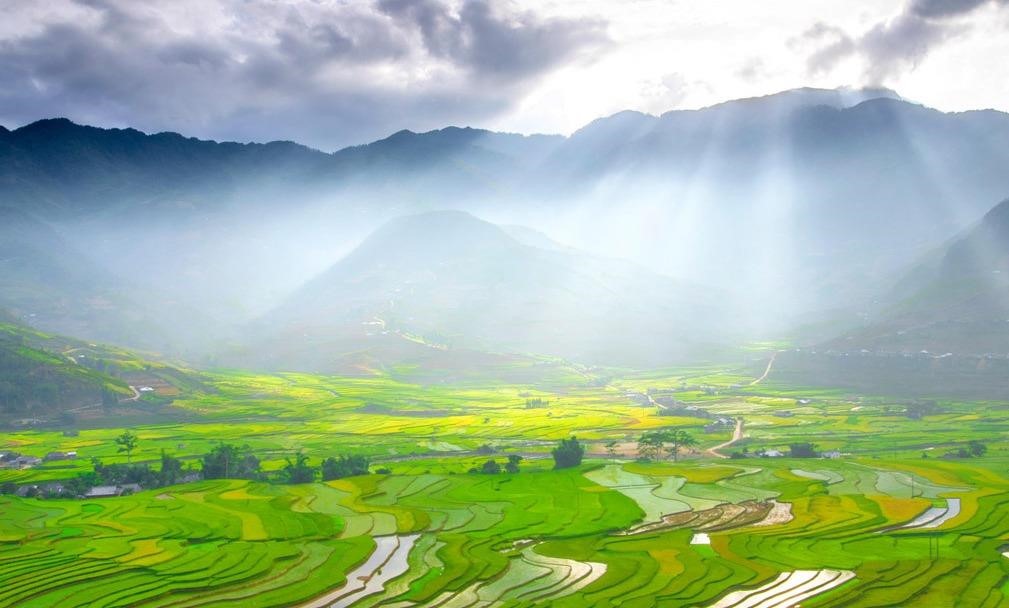 Tú Lệ (Yên Bái) mùa lúa chín: Thung lũng lúa vàng bao quanh bởi dãy núi hùng vĩ