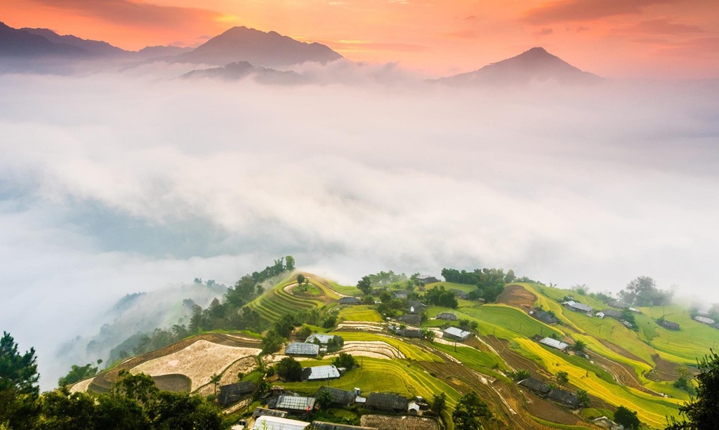 Hoàng Su Phì (Hà Giang) mùa lúa chín: Ruộng bậc thang chìm trong mây tại bản Phùng