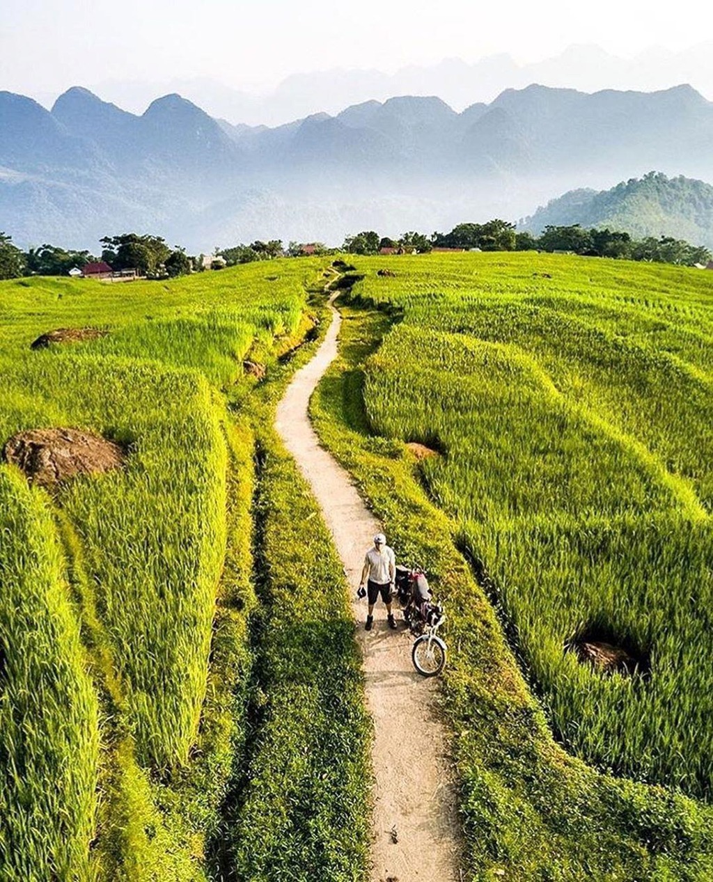 Pù Luông (Thanh Hóa) mùa lúa chín: Ruộng bậc thang vàng óng gần Hà Nội