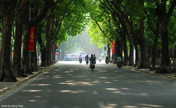 Nắng thu vàng mơ rực rỡ trên phố Hoàng Diệu