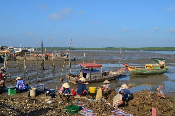 Đảo Thạnh An là xã đảo thuộc huyện Cần Giờ, cách trung tâm TP.HCM hơn 70 km