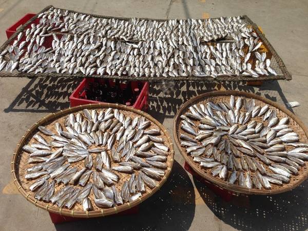 Mẹt cá phơi khô của người dân trên đảo Thạnh An