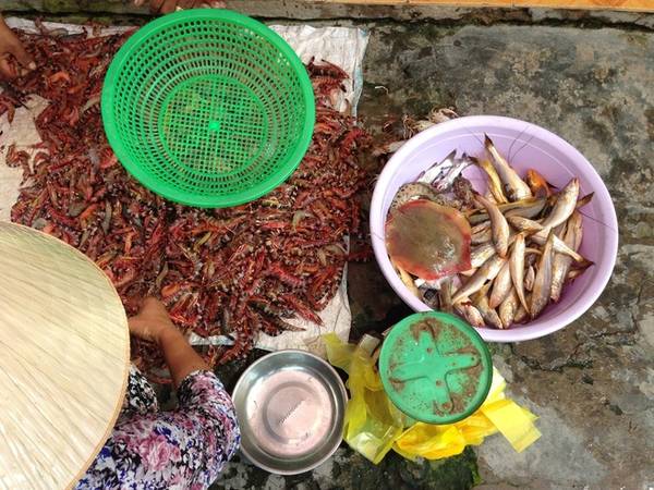 Nghỉ homestay tại nhà dân trên đảo Thạnh An