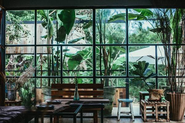The Fish Hostel Phú Quốc - Mảng xanh trong khuôn viên The Fish Hostel Phú Quốc - Mảng xanh trong khuôn viên