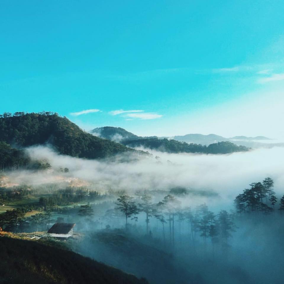 Ảnh: The Wilder Nest