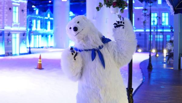 Thị trấn tuyết Sài Gòn gấu Polar