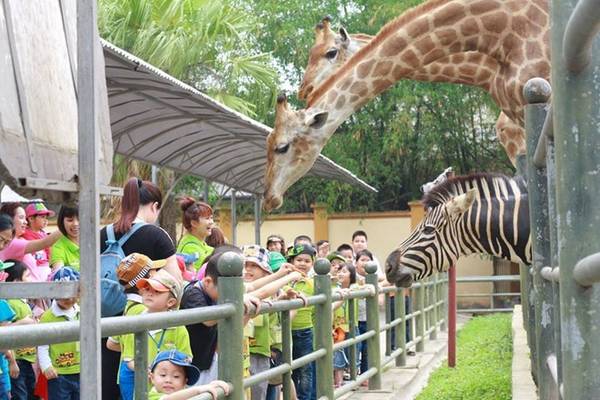 Khu vực vườn thú tại Thiên Đường Bảo Sơn thu hút nhiều em nhỏ dã ngoại hè