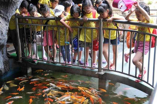 Trẻ em say sưa ngắm nhìn các sinh vật biển lạ mắt trong lòng thủy cung