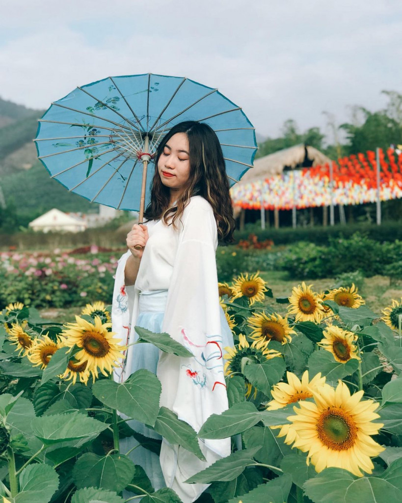 Cánh đồng hoa hướng dương tại thiên đường hoa Quảng La
